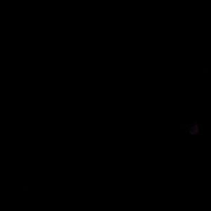 Meet your Posher, Tam